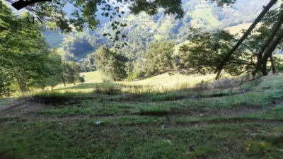 Rustic Finca in Calseca photo 22