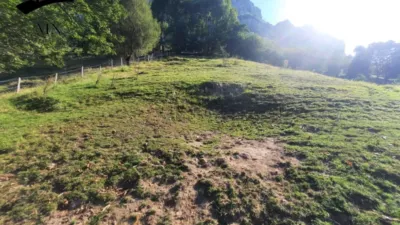 Rustic Finca in Calseca photo 24