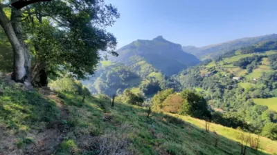Rustic Finca in Calseca photo 25