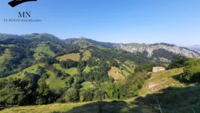 Rustic Finca in Calseca photo 26