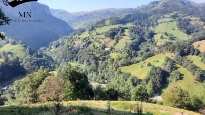 Rustic Finca in Calseca photo 27