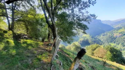 Rustic Finca in Calseca photo 28