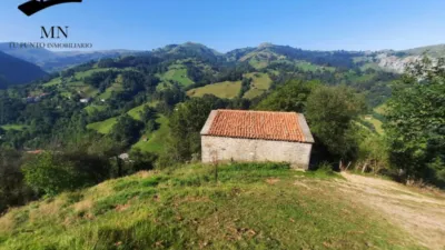 Rustic Finca in Calseca photo 2