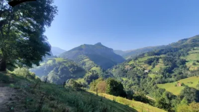 Rustic Finca in Calseca photo 30