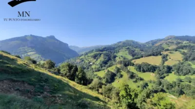 Rustic Finca in Calseca photo 34