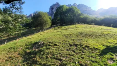 Rustic Finca in Calseca photo 37