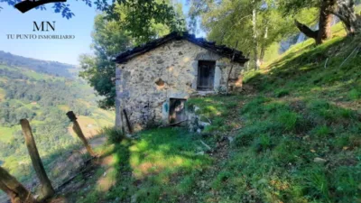 Rustic Finca in Calseca photo 3