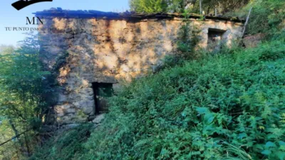 Rustic Finca in Calseca photo 4