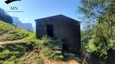 Rustic Finca in Calseca photo 5