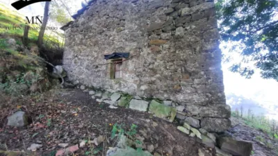 Rustic Finca in Calseca photo 6