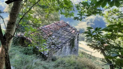 Rustic Finca in Calseca photo 7