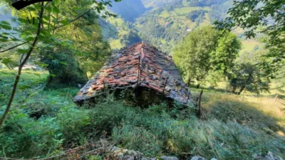 Rustic Finca in Calseca photo 8