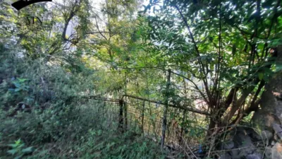 Rustic Finca in Calseca photo 9