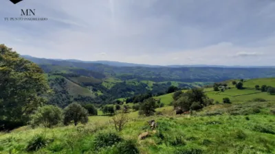 Rustic property in Bustantegua photo 24