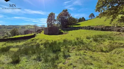 Rustic Finca in San Pedro del Romeral photo 18