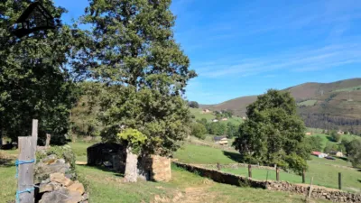 Rustic Finca in San Pedro del Romeral photo 5