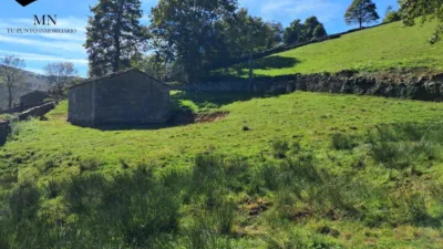 Rustic Finca in San Pedro del Romeral photo 8