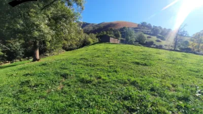 Rustic Finca in Valles Pasiegos photo 17
