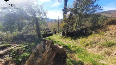 Rustic Finca in Valles Pasiegos photo 5