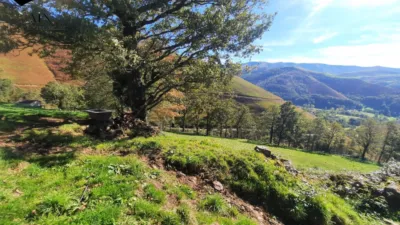 Rustic Finca in Valles Pasiegos photo 6