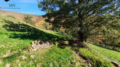Rustic Finca in Valles Pasiegos photo 7