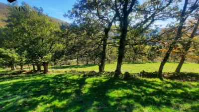 Rustic Finca in Valles Pasiegos photo 8
