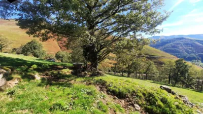 Rustic Finca in Valles Pasiegos photo 9