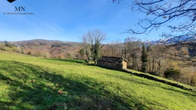 Rustic Finca in Vegalosvados photo 18