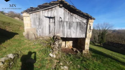 Rustic Finca in Vegalosvados photo 6