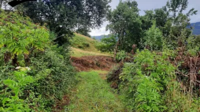 Rustic Finca in Ontaneda photo 8