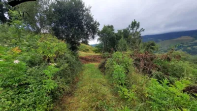 Rustic Finca in Ontaneda photo 9