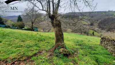 Rustic Finca in Northern Spain photo 33
