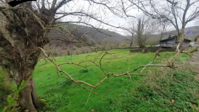 Rustic Finca in Northern Spain photo 35