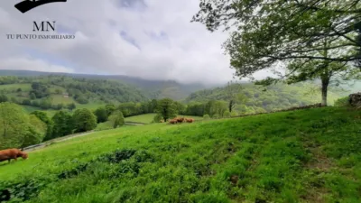 Rustic Finca in Luena photo 37