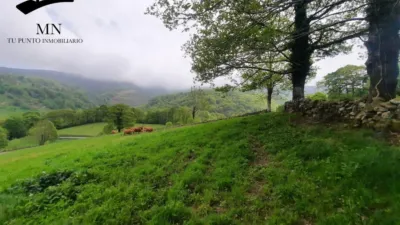 Rustic Finca in Luena photo 38