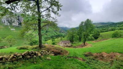 Rustic Finca in Lunada photo 20