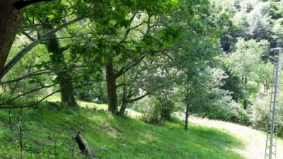 Rustic Finca in Campillo photo 10