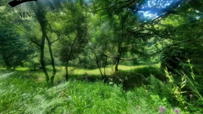 Rustic Finca in Campillo photo 12