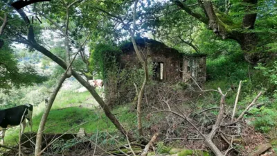 Rustic Finca in Campillo photo 2