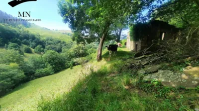 Rustic Finca in Campillo photo 4