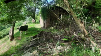 Rustic Finca in Campillo photo 5