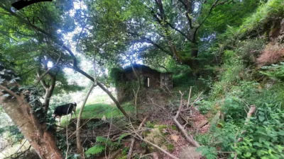 Rustic Finca in Campillo photo 6