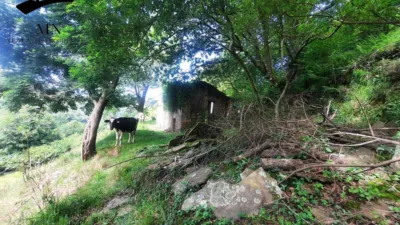 Rustic Finca in Campillo photo 7