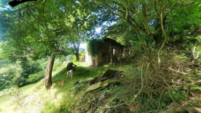 Rustic Finca in Campillo photo 8