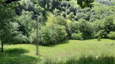 Rustic Finca in Campillo photo 9