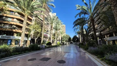 Apartment on Avenida del Doctor Gadea photo 3