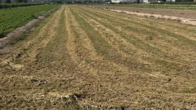 Terreno en venta en Calle Partida La Capitana - Vista 2