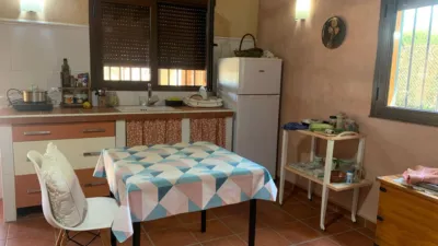 House on Calle Los Pinos photo 7