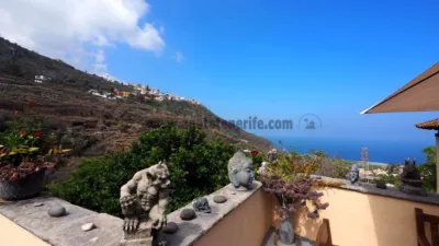 Chalet in Tenerife North photo 110