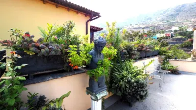 Chalet in Tenerife North photo 117